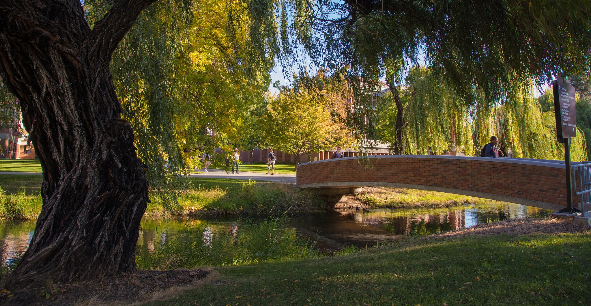 Does Central Washington University Require An Essay